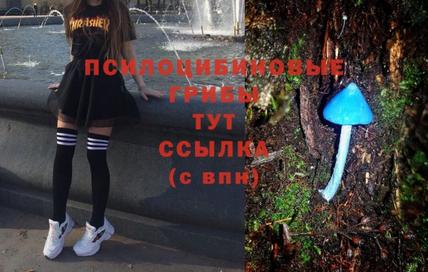 МДПВ Краснотурьинск