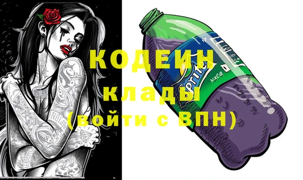 индика Верея