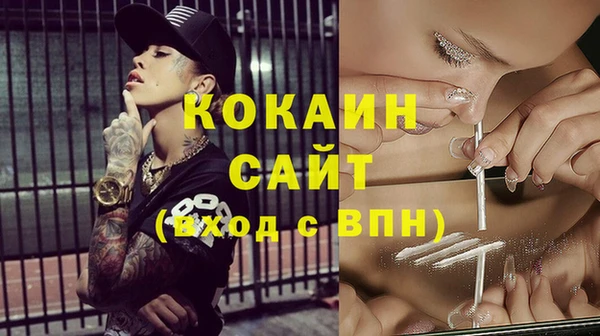 индика Верея