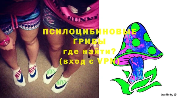 спиды Бронницы