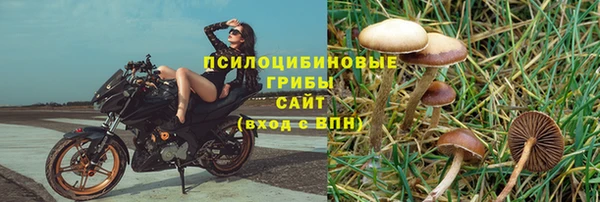 индика Верея