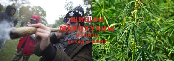 индика Верея