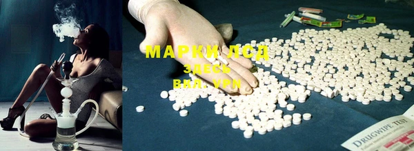 индика Верея