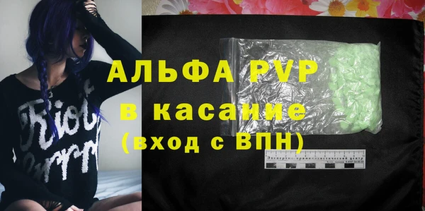 индика Верея