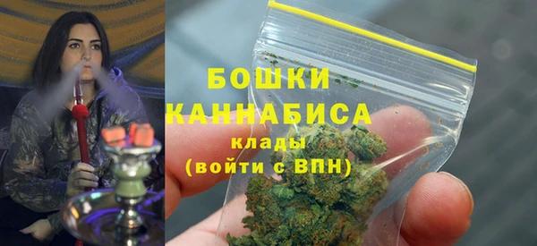 хмурый Верхний Тагил