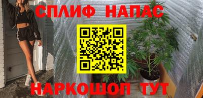 прущие крисы Моздок