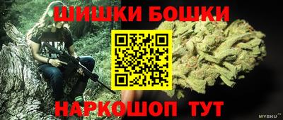 прущие крисы Моздок