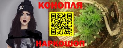 прущие крисы Моздок