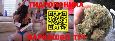 прущие крисы Моздок