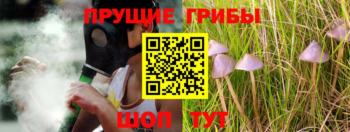 Галлюциногенные грибы мухоморы  где продают наркотики  Воркута  Вход с VPN 
